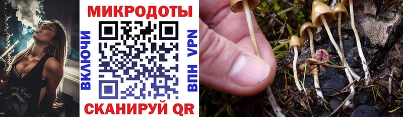 дарнет шоп  МЕГА как войти  Псилоцибиновые грибы MAGIC MUSHROOMS  Макарьев 
